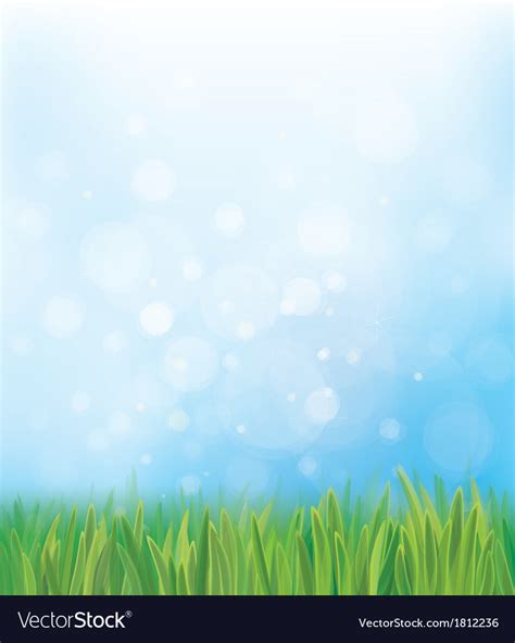 Grass sky background Royalty Free Vector Image