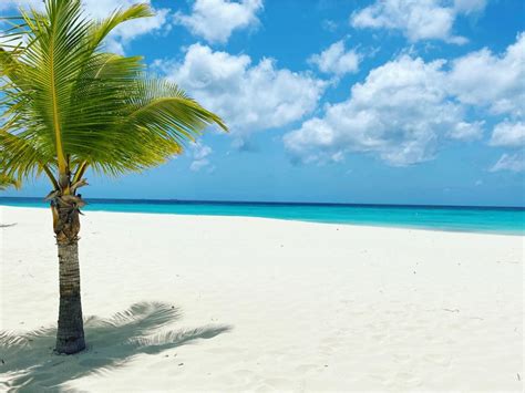 Aruba’s Eagle Beach Makes TripAdvisor’s World’s Best Beaches for 2021 ...