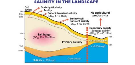 Landscape salinity, illustrating the development of primary salinity,... | Download Scientific ...