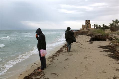 The ecologists rescuing the natural wonders of Libya's Farwa island ...