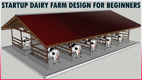 Dairy Farming Shed Design Cow Shed Design