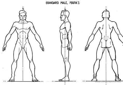 Male v4 blueprints free - Outlines