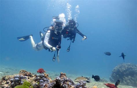 Book : Scuba Diving in Goa | Scuba Diving Under Water Photography