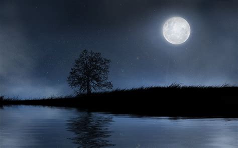 Moon Full HD Wallpaper and Background Image | 1920x1200 | ID:440482