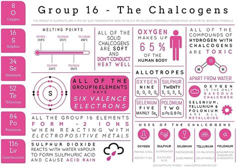 Amazon.com: Element Infographics: The Chalcogens Poster - Canvas - Periodic Table and Chemistry ...