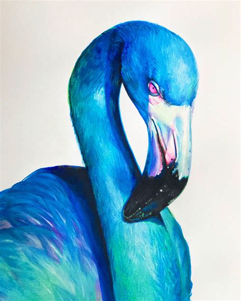 Blue Flamingo on Behance