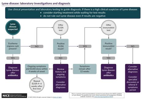 Diagnosis | Lyme Disease Action