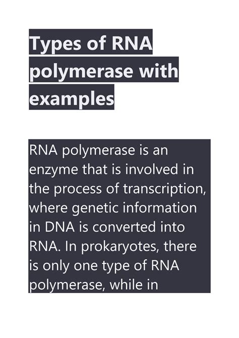 Types of RNA polymerase with examples part 1 - Types of RNA polymerase with examples RNA ...