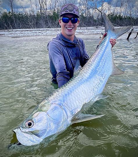 Tarpon Fish - Guided Fishing Charter - Marco Island, Florida