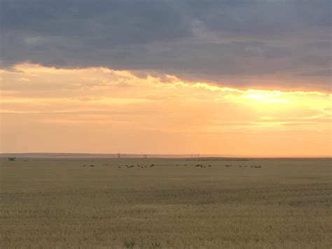 Prairie sunset during the beginning of shoulder season. : r/canada