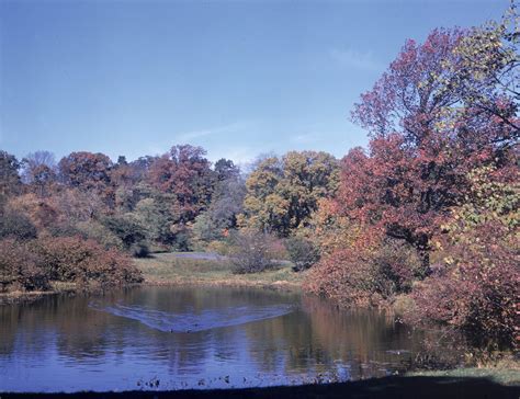 Visual Archives - Arnold Arboretum | Arnold Arboretum