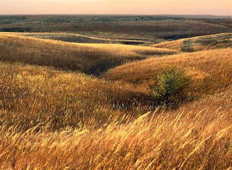 Photograph entitled November in the Kansas Flint Hills