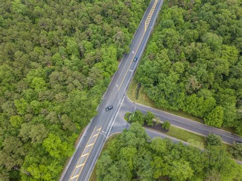 Road in the forest stock image. Image of background - 118208361