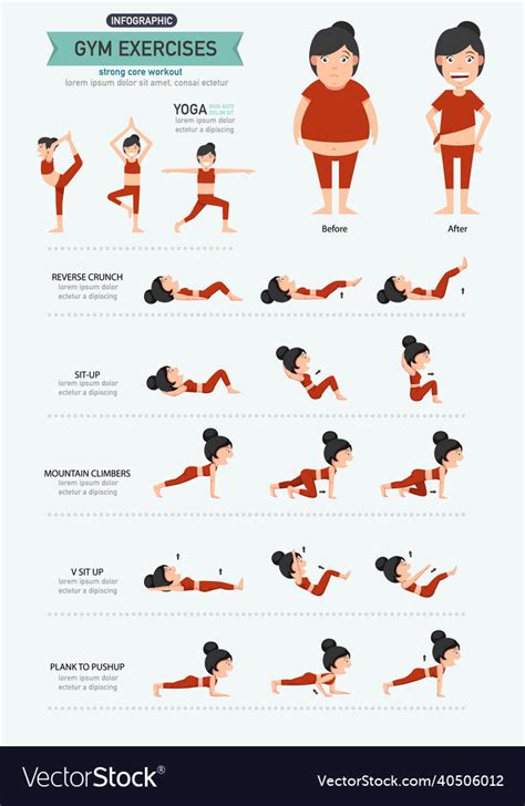 Gym exercisesstrong core workout Royalty Free Vector Image