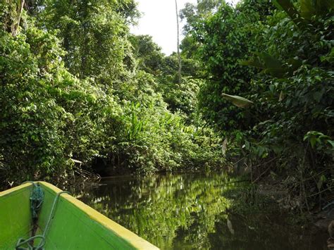 Amazon Tours - Ecuador Eco Adventures - Rainforest Tours