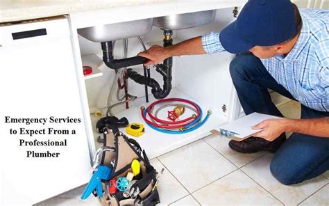 Emergency Services to Expect From a Professional Plumber - Shiftkiya.com