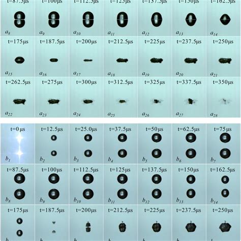 Surface wave of cavitation bubbles. | Download Scientific Diagram