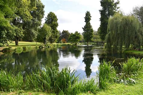 Sneak peek around Park Lake in Albury - one of Surrey's best kept secrets - Surrey Live