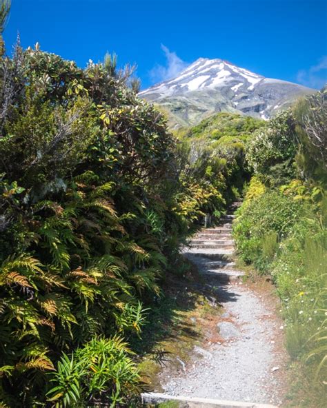 Mount Taranaki Summit - Free Guide » Wild Taranaki