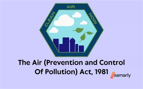 Air Prevention And Control Of Pollution Act, 1981 // Examarly