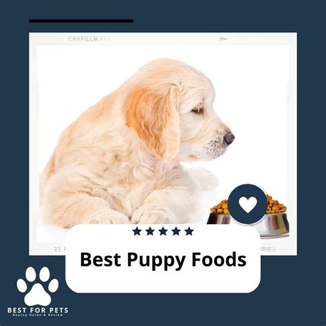 The 10 Best Puppy Foods - BestForPets.org