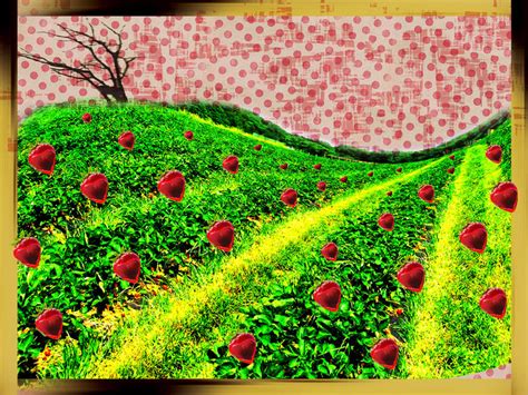 Strawberry Fields Forever no.48 by dekdav on DeviantArt