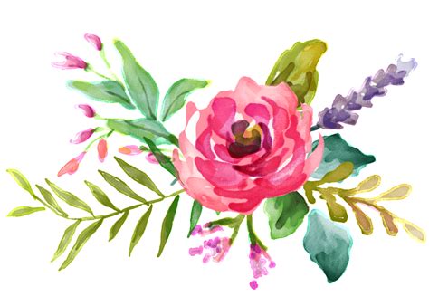 pink watercolor flower bouquet design background vector | Floral ...