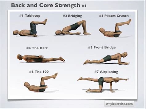 Pin by Sharron Duthie on Excercise Bites | Back strengthening exercises ...