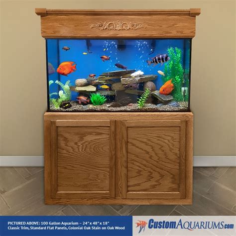 100 Gallon Fish Tank - 100 Gallon Aquarium | Custom Aquariums