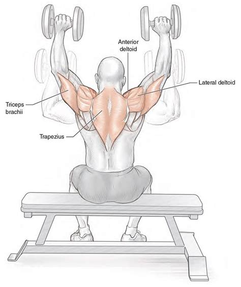 I saw a 23 year old young man... - NeuroKinetic Therapy