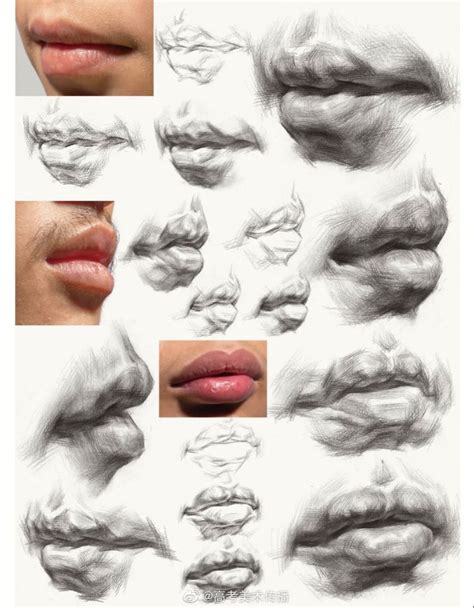 Pin by Oyku on Eyes-lips-nose-ear | Anatomy art, Human anatomy art ...