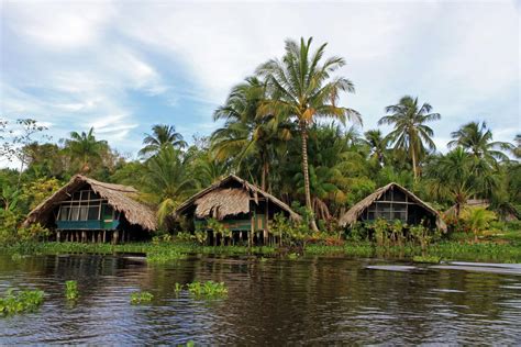 Orinoco River Delta