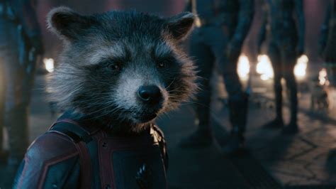 How Rocket Raccoon (and Bradley Cooper) Became the MCU’s Secret Weapon | GQ