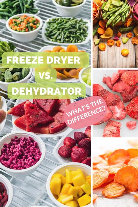 Freeze Dryer Vs. Dehydrator: What's the Difference? in 2022 | Freeze ...