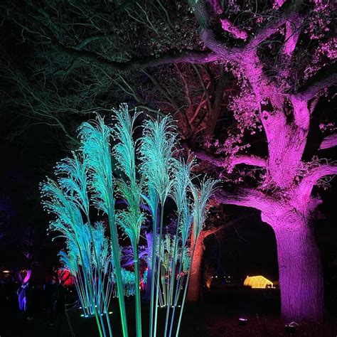 A new holiday attraction: ‘Lightscape’ at the Brooklyn Botanic Gardens features a million ...