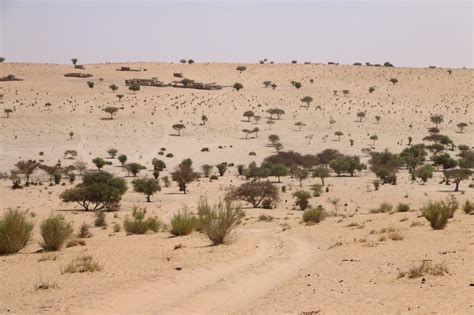 A journey across the Sahel region of Chad – World Food Programme Insight