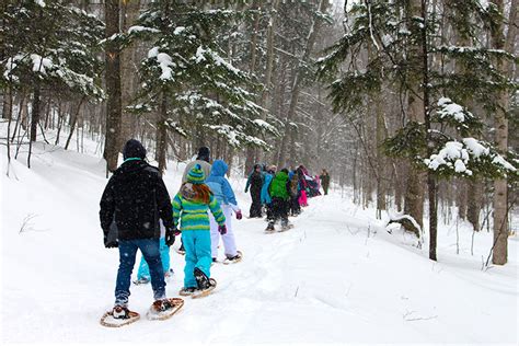 10 Best Family Weekend Trips in Michigan | Family Vacation Critic