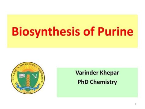 purines Metabolism.pptx