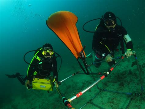 Poni Launches Unique PADI Scientific Diving Techniques Course - Poni Marine