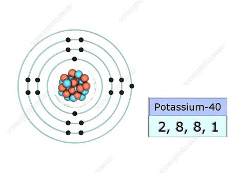 Potassium electron configuration - Stock Image C029/5026 - Science Photo Library