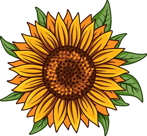 Sunflower SVG PNG White | Sunflower drawing, Sunflower clipart ...