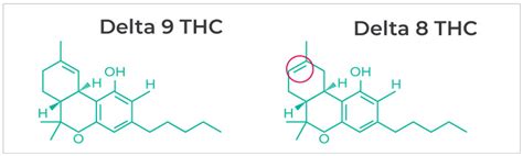 Delta 8 THC vs. Delta 9 THC: And The Question "Is Delta 8 Safe?"