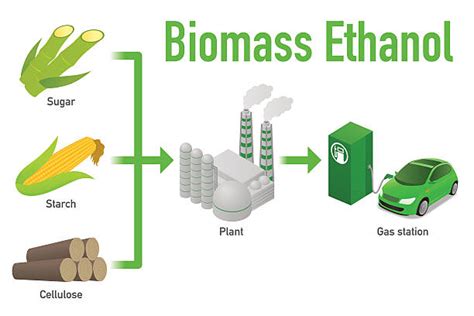 Ethanol Plant Illustrations, Royalty-Free Vector Graphics & Clip Art - iStock