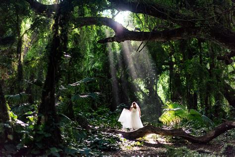 30 Beautiful Forest Wedding Photos - Wedding Maps