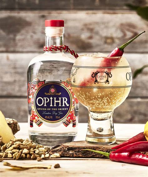 The 25 Best Gin Brands In The World