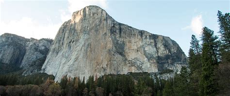 Yosemite Rock Climbing - The Redwoods In Yosemite