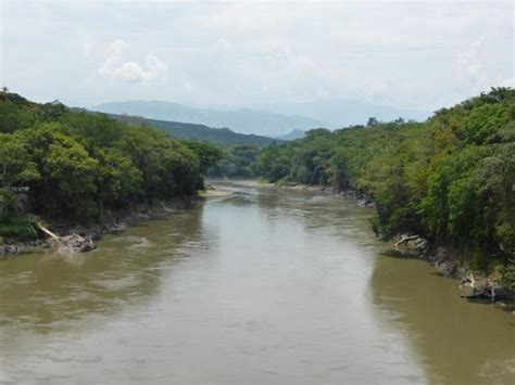 Cauca River - Picture of Palenque Tours Colombia, Medellin - TripAdvisor