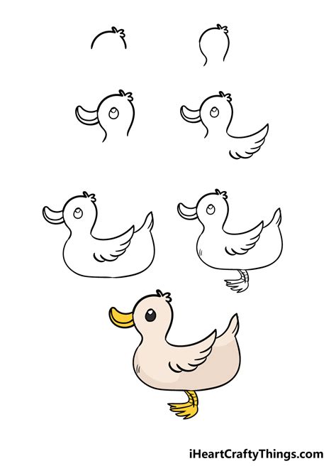 Duck Drawing - How To Draw A Duck Step By Step