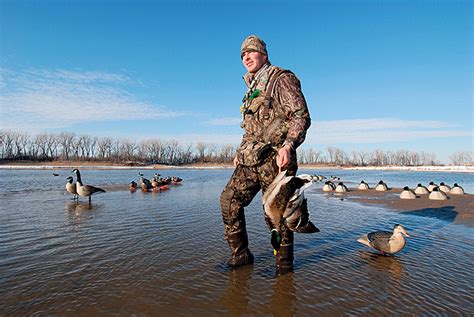 Tips & Tactics For Hunting Mallards - Game & Fish