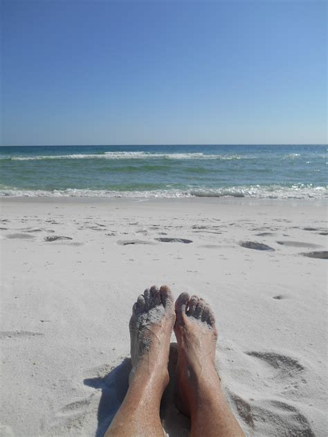 Gulf Islands National Seashore - The Flying Mantis